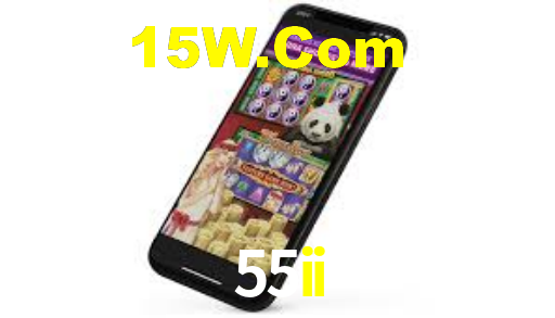 55ii.com