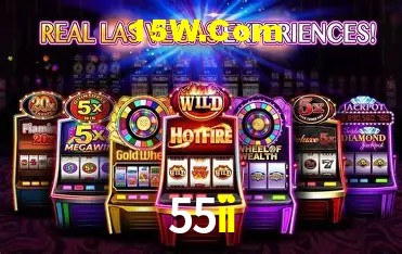 Login Seguro 55ii